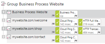 A Possible Website Business Process Group